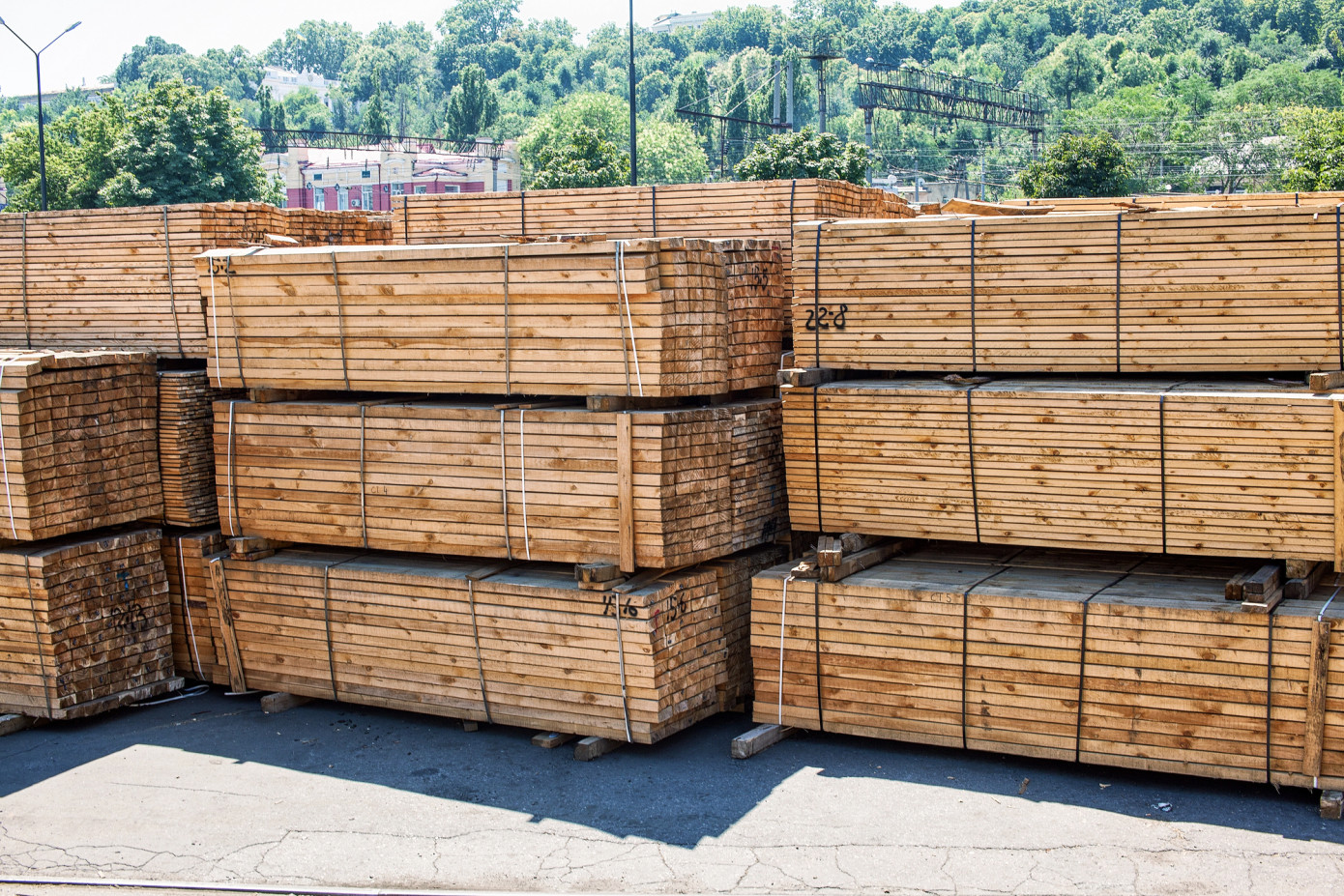 China’s softwood lumber imports fall 12% in 2025 under construction pressure