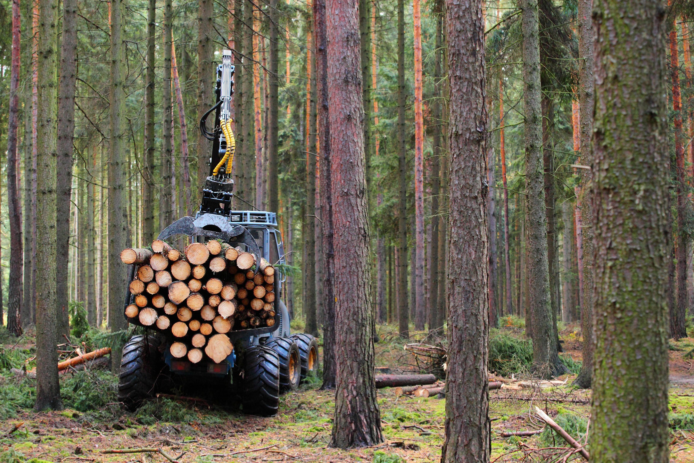 Finland’s industrial wood harvest falls 15% in April