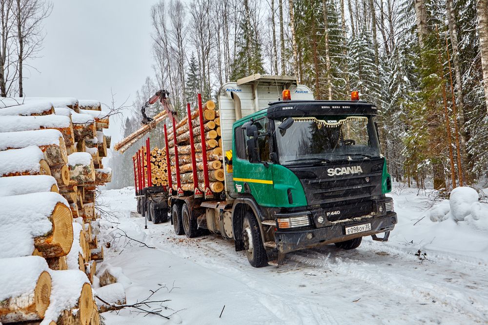Segezha Group примет участие в эксперименте ЛесЕГАИС в Вологде