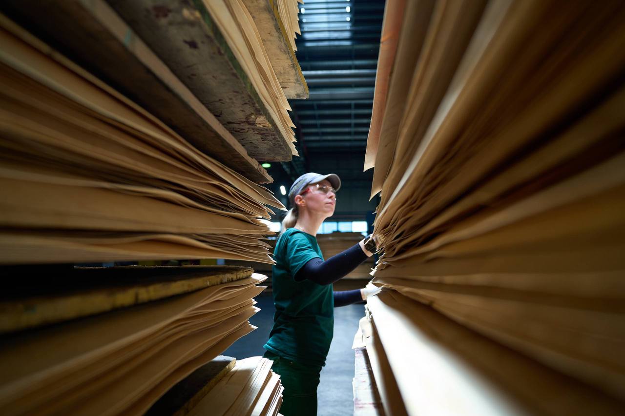 Галичский фанерный комбинат оптимизировал производство шпона