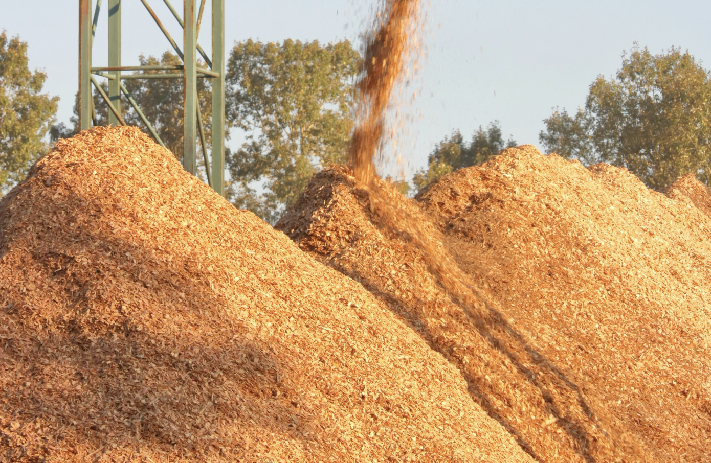 Импорт древесной щепы в Южную Корею упал в феврале на 52%