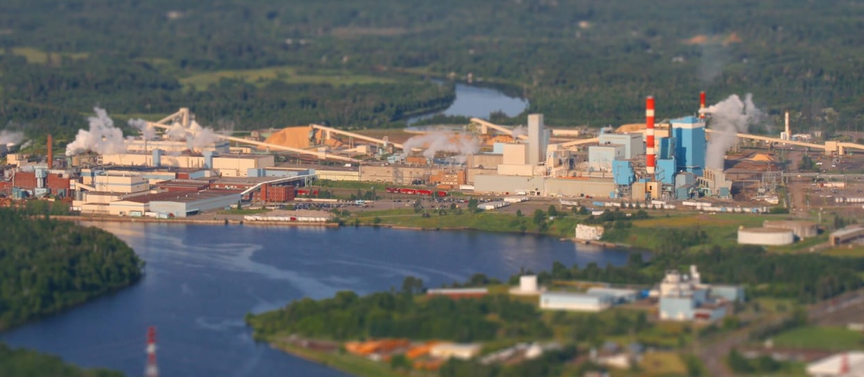 Thunder Bay Pulp and Paper to discontinue newsprint mill operations in Q1 2026