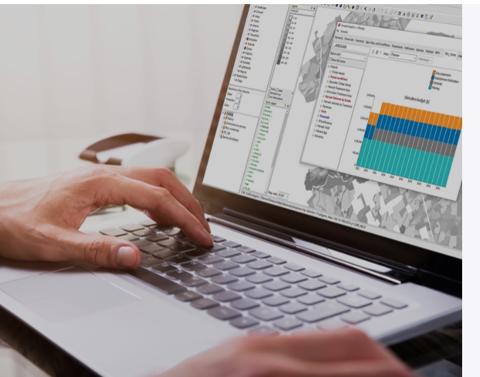 LD Celulose S.A. selects Remsoft for strategic forest optimization app