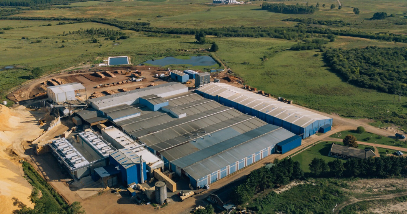 Uruguayan Arboreal secures $40 million investment to scale wood-based construction products in Latin America