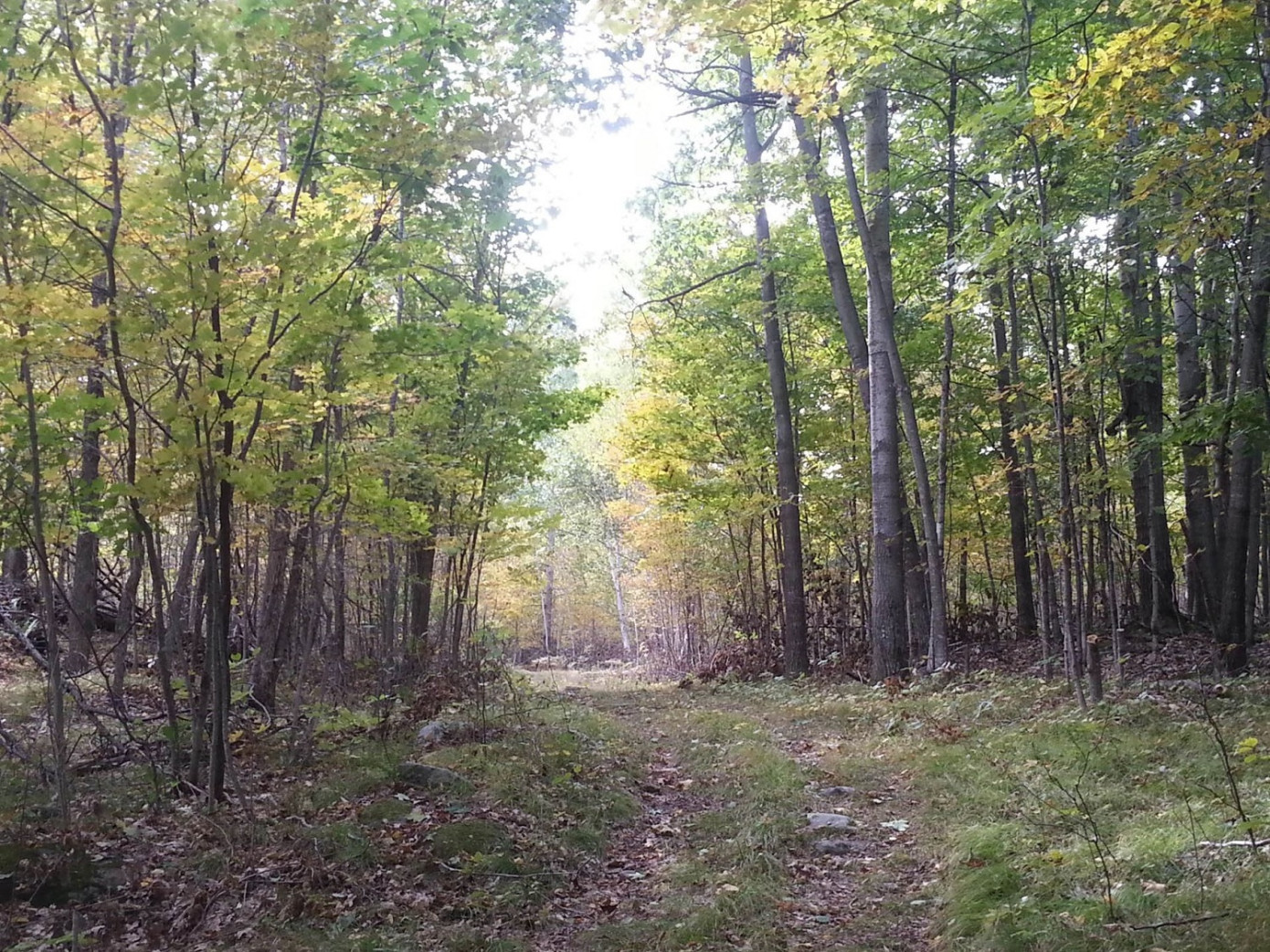 The Ontario Woodlot Association appoints Glen Prevost as Executive Director