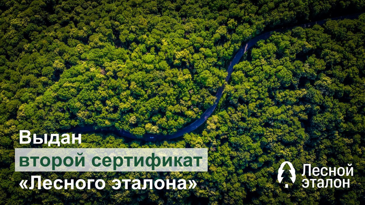 Компания «ПромХимУпак» получила сертификат «Лесной эталон»