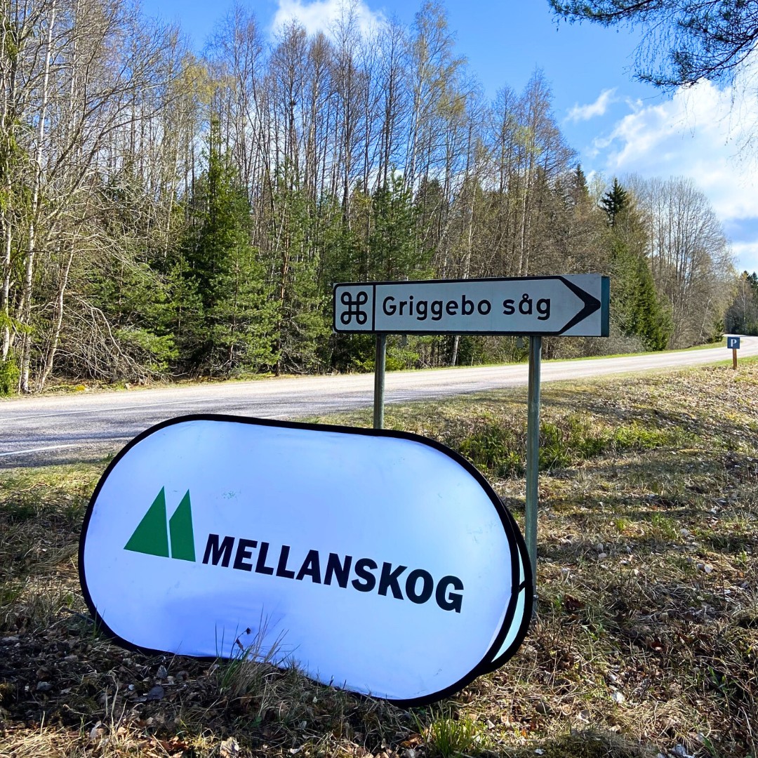 В первой половине 2025 г. продажи Mellanskog выросли на 17%