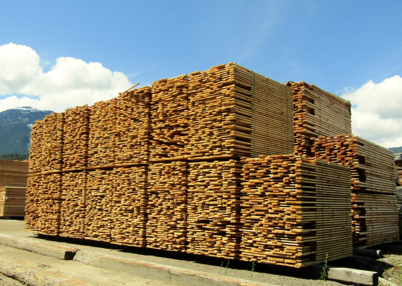 In March, Brazilian export lumber price jumps 30%