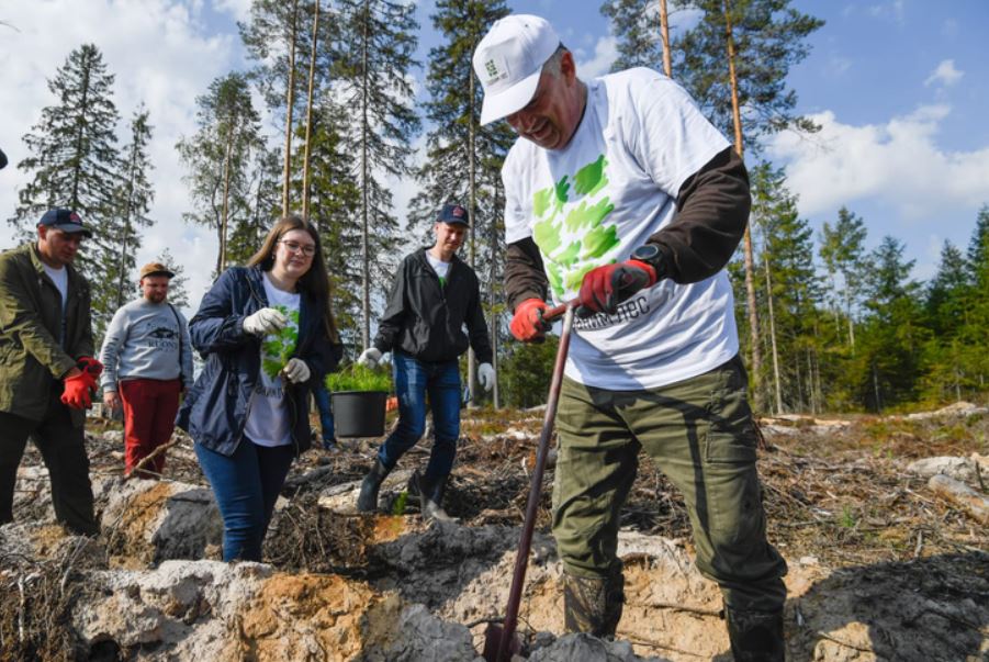 Ленинградская обл. рассчитывает увеличить лесной фонд на 200 тыс. га