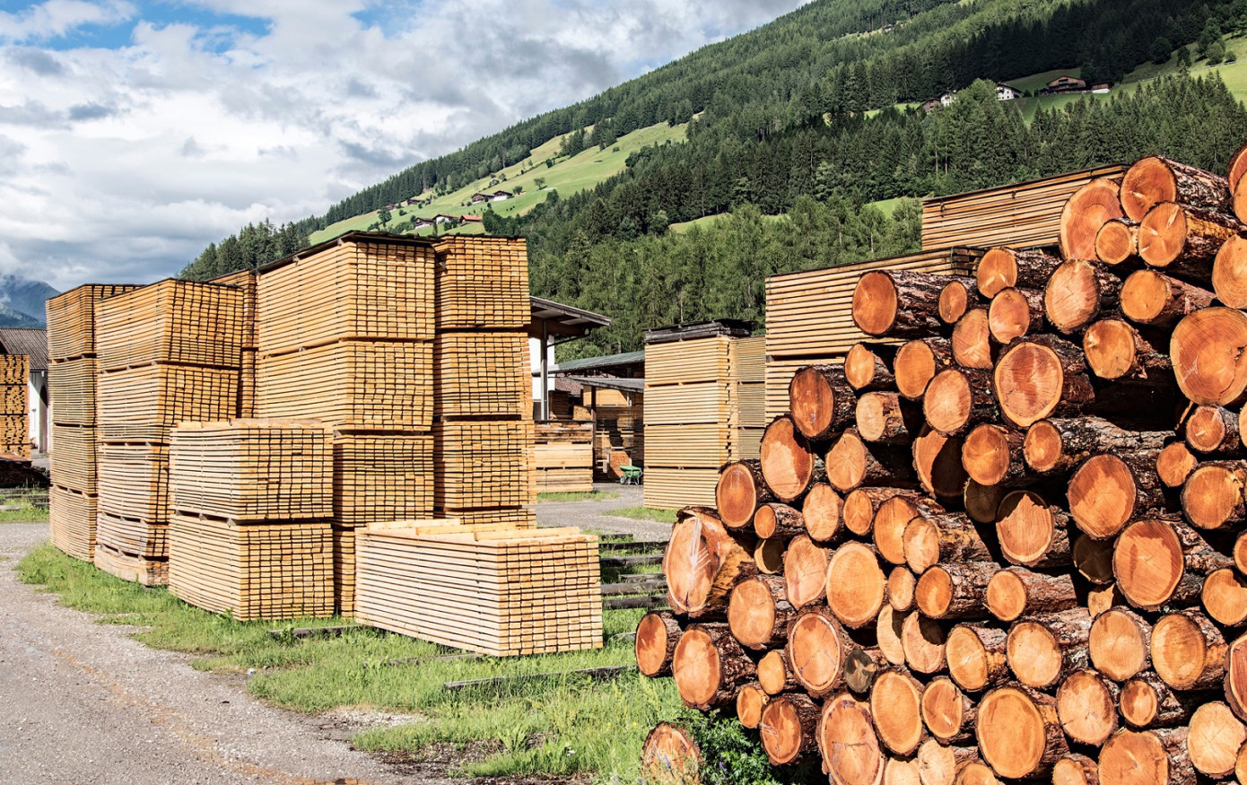 RemaSawco receives order for upgrading log sorting and saw line at sawmill in Poland