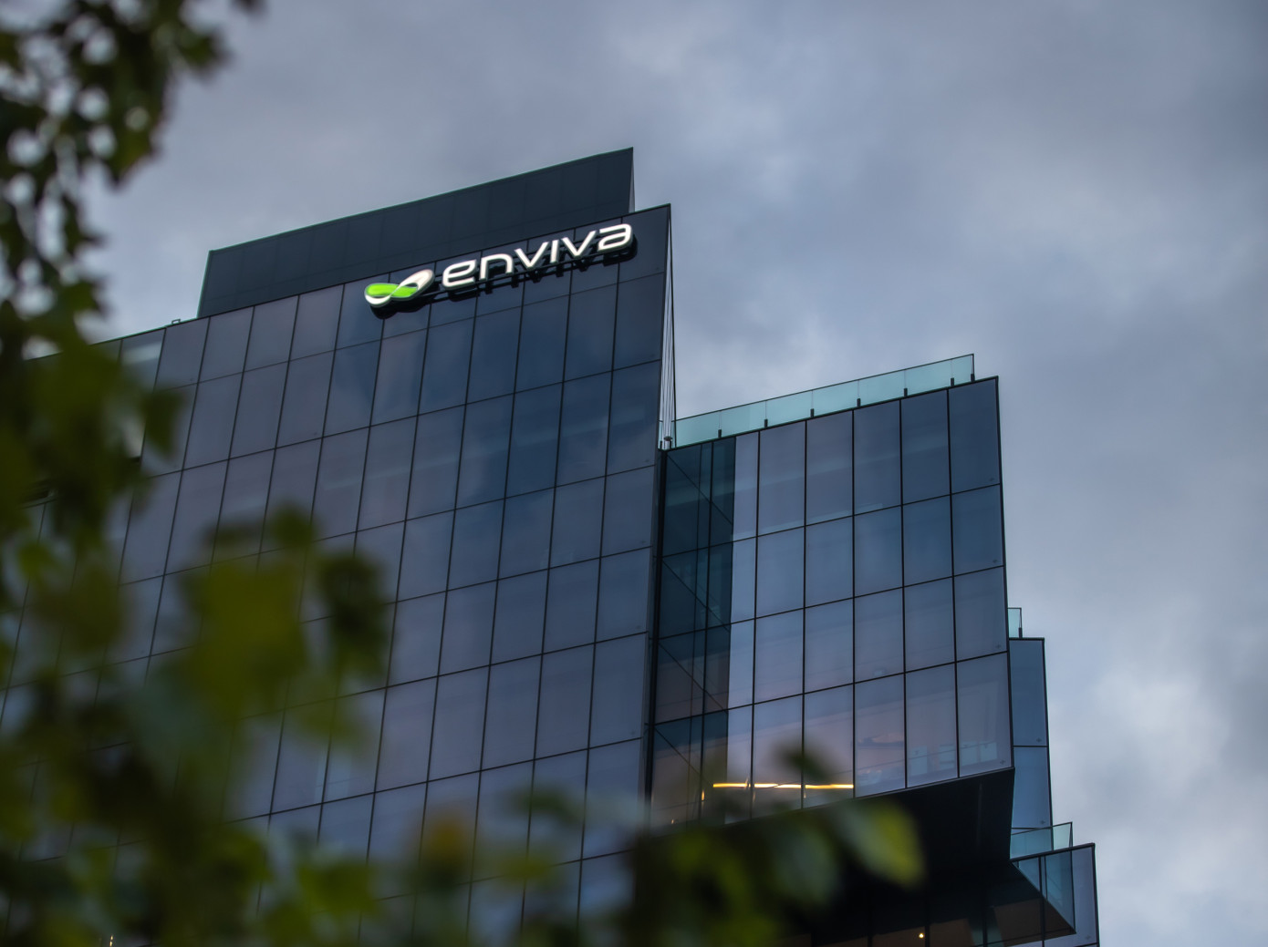 Enviva nears bankruptcy amid wood pellet pricing misstep