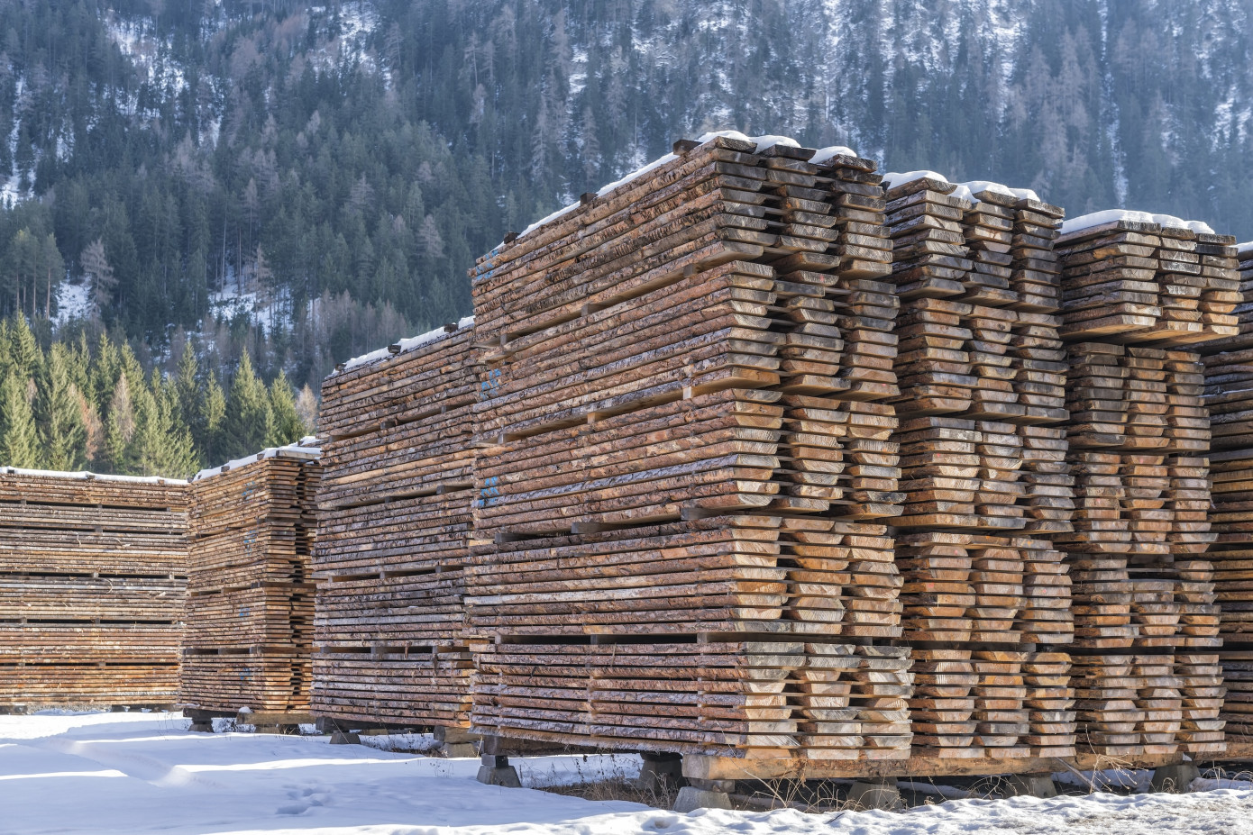 In 2023, Russia decreases lumber production by 4.5%
