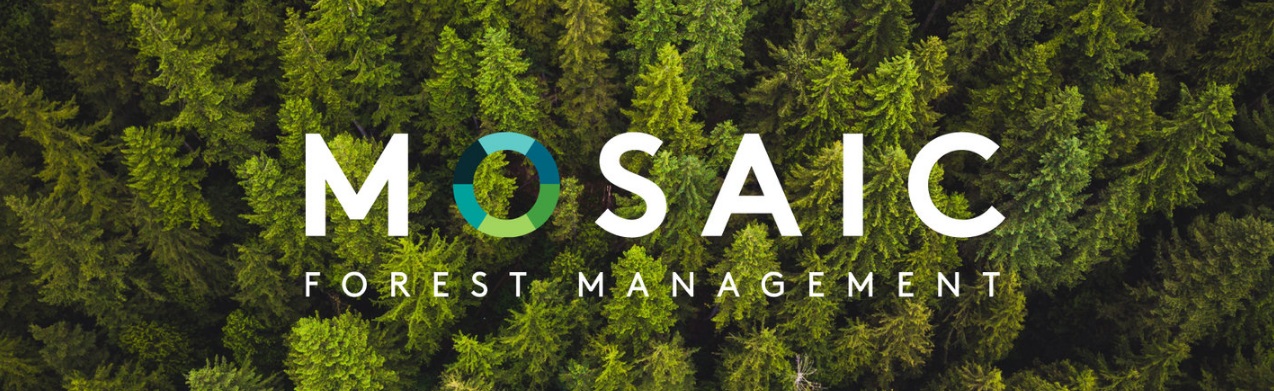 Mosaic Forest Management announces departure of President and CEO Jeff Zweig