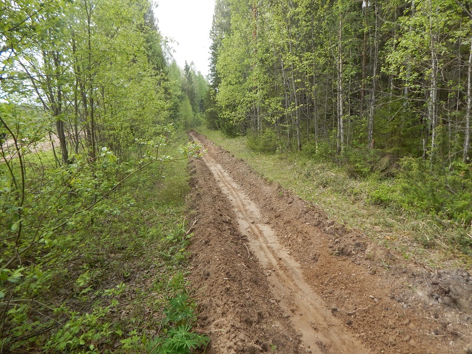 В 2023 г. «Свеза» инвестирует в лесозащиту 44 млн руб.