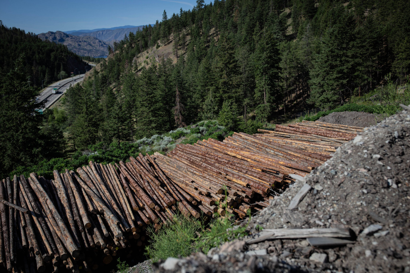 Weyerhaeuser completes $120 million B.C. tenure sale to Gorman Group