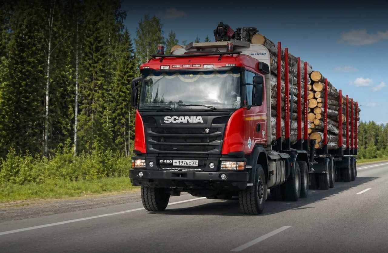 В России растут перевозки древесины