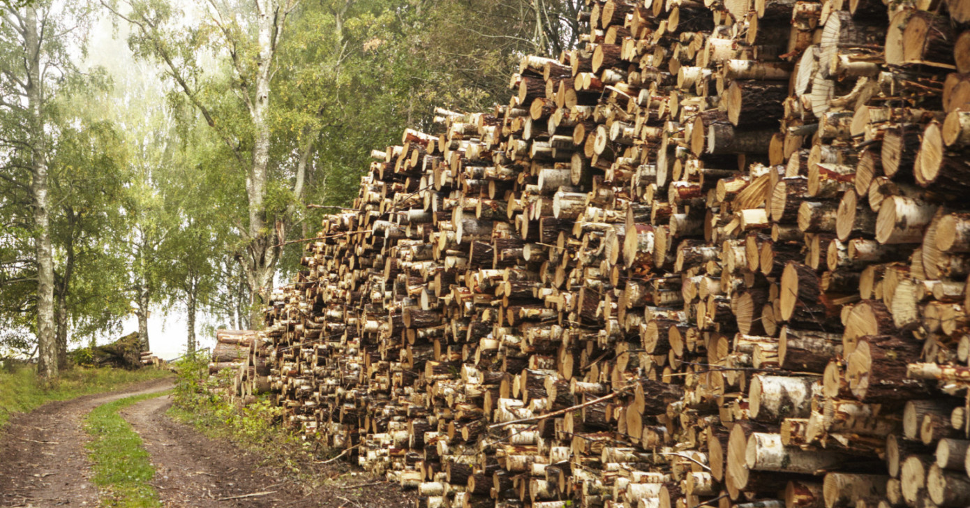 Mellanskog, major wood supplier in Sweden, cuts prices for first time in nearly six years