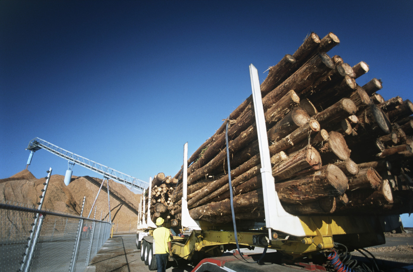 China’s softwood log imports fall 20% in August
