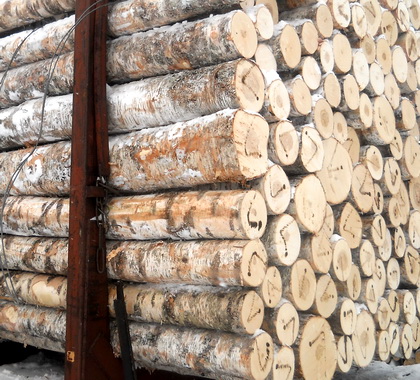 В 2019 г. Кыновской леспромхоз сократил производство пиломатериалов на 21,8%