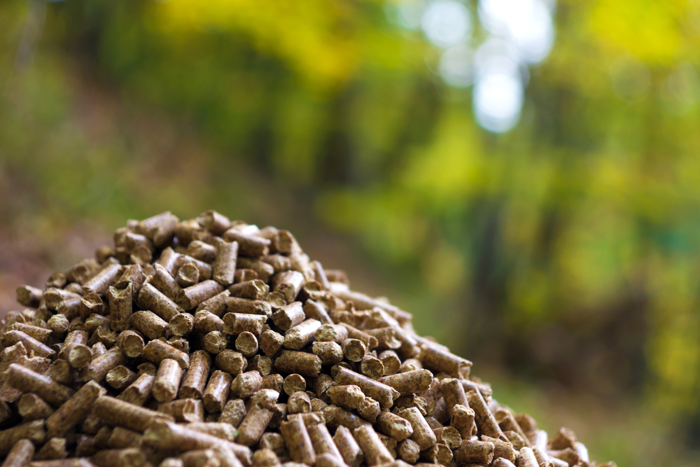 EU deforestation rules to cut U.S. Southeast pellet output 7.16% by 2030
