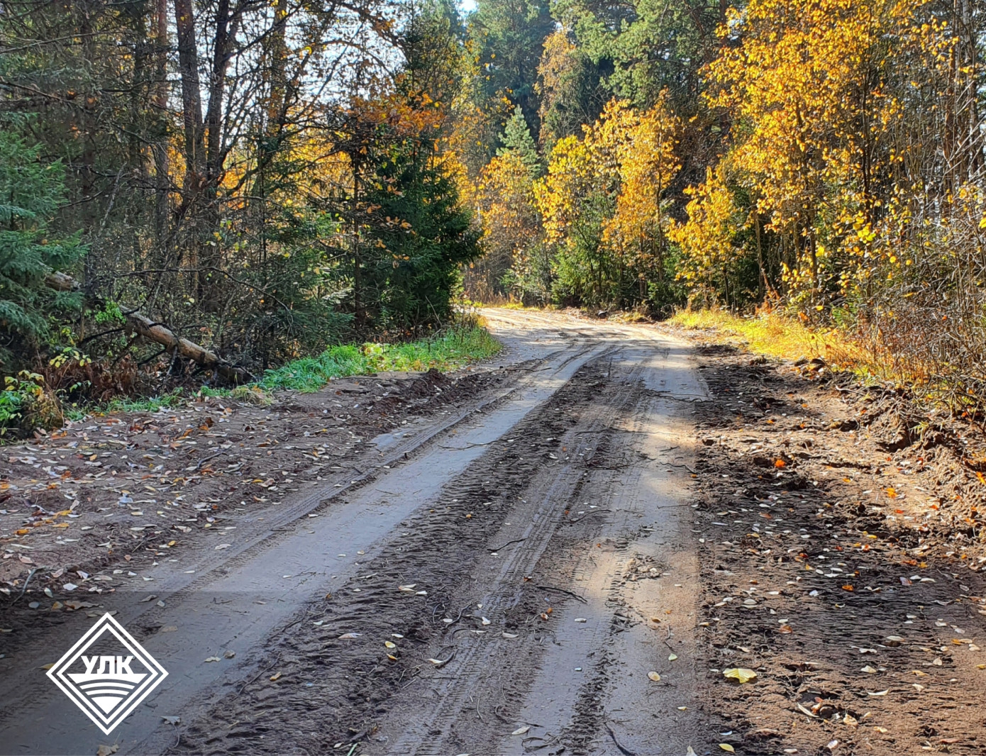 Вельский леспромхоз отремонтировал дорогу в Архангельской обл.