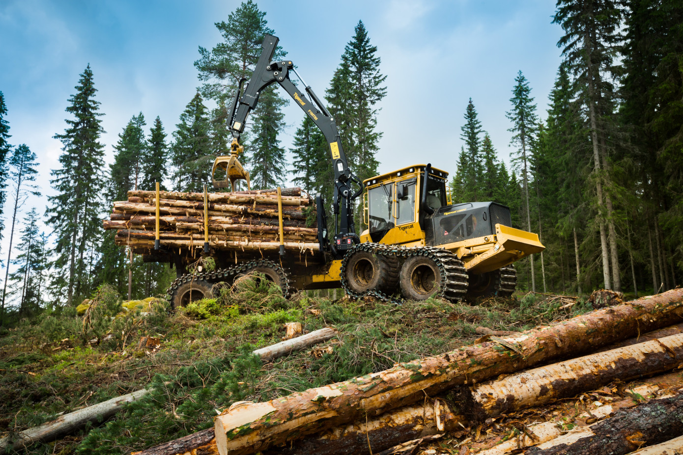 Swedish wood industry leaders call for delay of EU deforestation law to protect local businesses