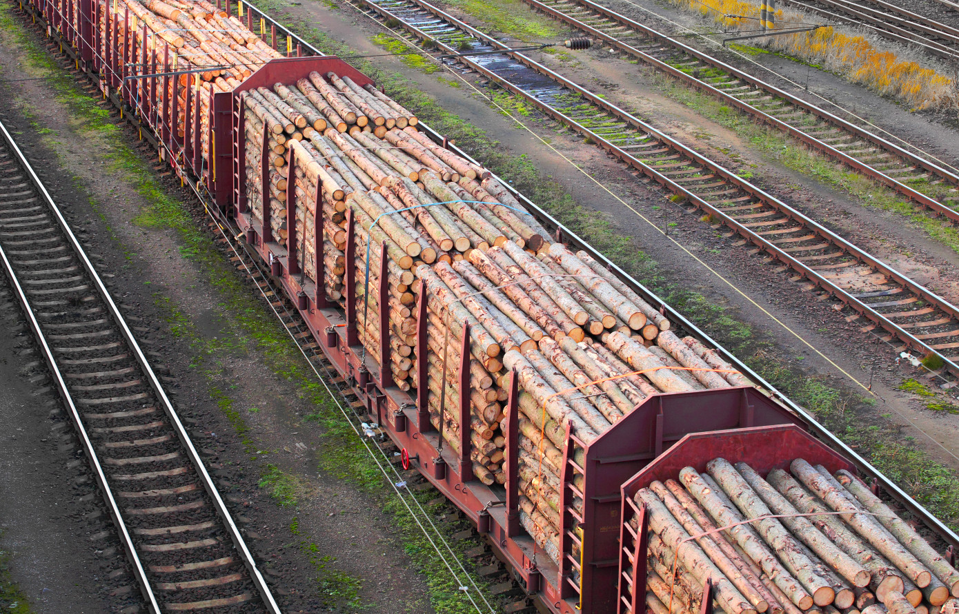Timber trade in Finland rises 18% in 2024, reaching 48.8 million m3