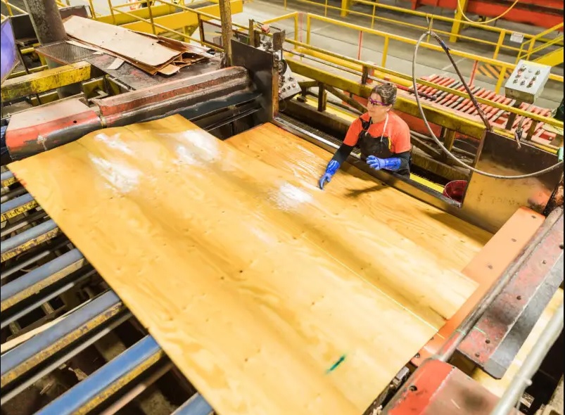 Roseburg Forest Products