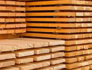 50 mm x 150 mm x 6000 mm KD R/S  Spruce-Pine (S-P) Lumber