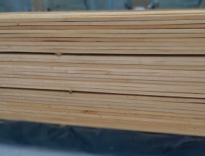25 mm x 100 mm x 3000 mm KD R/S  Birch Lumber
