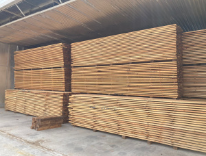 50 mm x 150 mm x 6000 mm KD R/S Heat Treated Siberian Pine Lumber