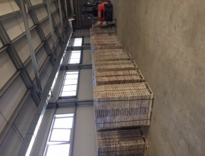 25 mm x 50 mm x  KD  Bouleau Lamelle
