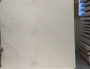 Sanded 0 Exterior Plywood 1525 mm x 1525 mm x 3 mm