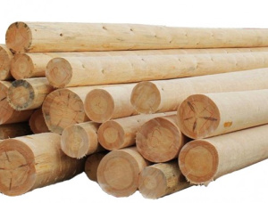 Siberian Pine Wood utility poles 160 mm x 9.5 m