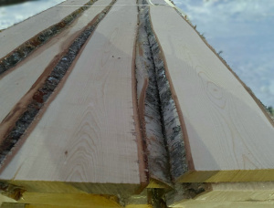 25 mm x 100 mm x 3000 mm Birch Flitch