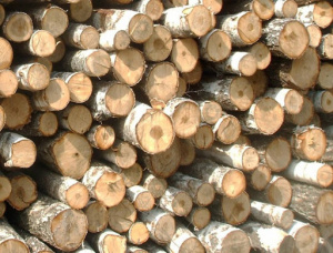 Балансовая древесина  140 мм x 6 м