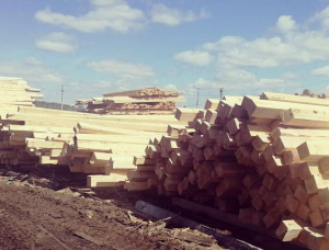 50 mm x 100 mm x 6000 mm GR R/S  Spruce-Pine (S-P) Lumber