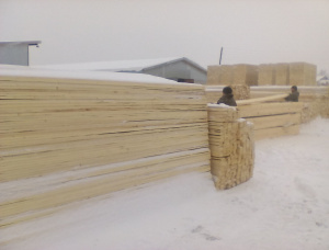 25 mm x 125 mm x 6000 mm GR R/S  Spruce-Pine (S-P) Lumber