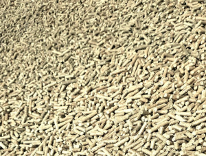 European spruce Wood pellets 8 mm x 30 mm