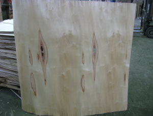 Paper Birch Rotary Cut Veneer 1600 mm x 1600 mm x 1.15 mm