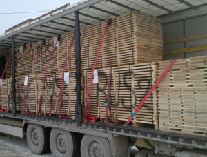 30 mm x 100 mm x 2000 mm KD R/S  Oak Lumber