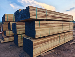 75 mm x 170 mm x 3000 mm KD S4S  Iroko (Mvuli, Kambala, Semli, Rokko) Lumber