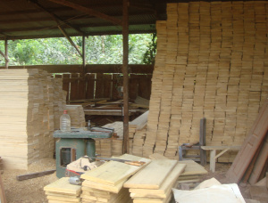 100 mm x 250 mm x 5000 mm AD S4S  African Pencil Cedar Lumber