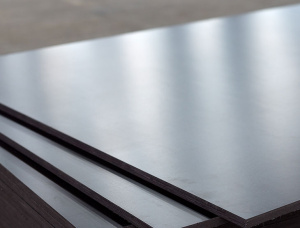 F/F Eucalyptus Film faced plywood 2440 mm x 1220 mm x 18 mm