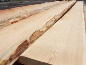 50 mm x 200 mm x 6000 mm European larch