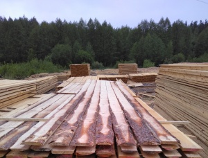 50 mm x 100 mm x 6000 mm AD  Scots Pine Lumber