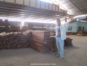 50 mm x 300 mm x 6000 mm KD S4S  Padouk (Burma) Lumber