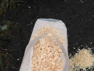 Dry wood chips