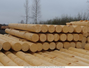 Zylindrisch rundholz Sibirische Lärche 200 mm x 4 m