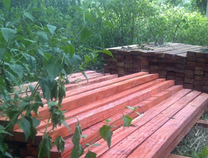 80 mm x 120 mm x 250 mm AD S4S  Padouk (Camwood, Barwood, Mbel, Corail) Lumber